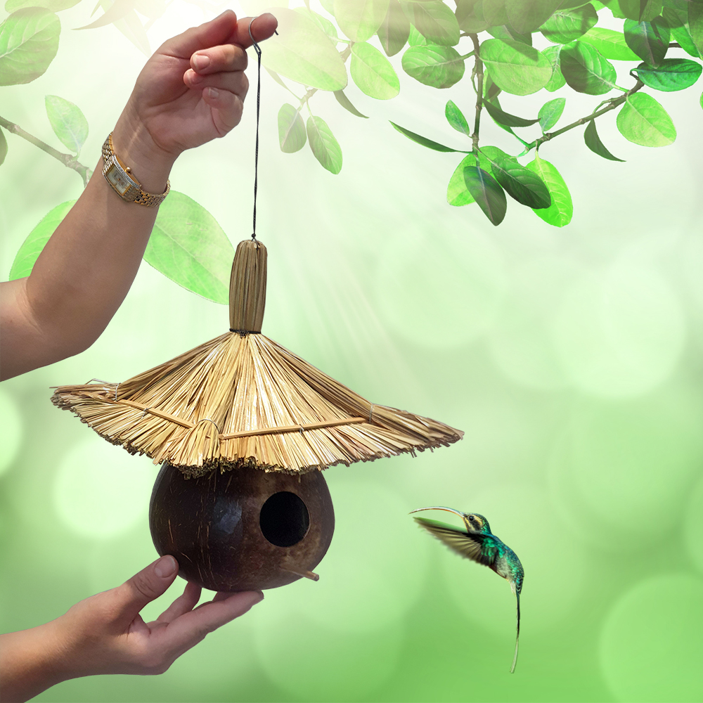 VN-0508-BRDFDR-COCO+STRAW-D