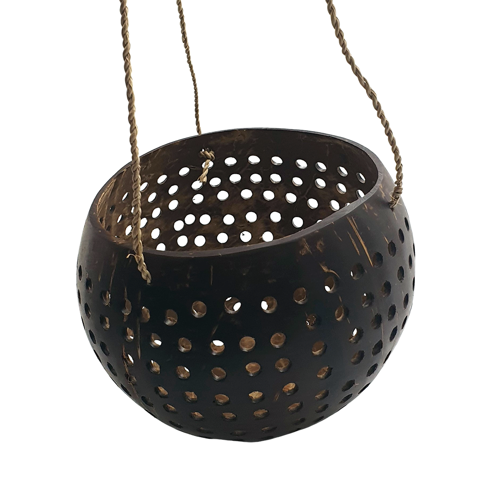 VN-0510-BRDFDR-CRV-COCO-DSN3-A