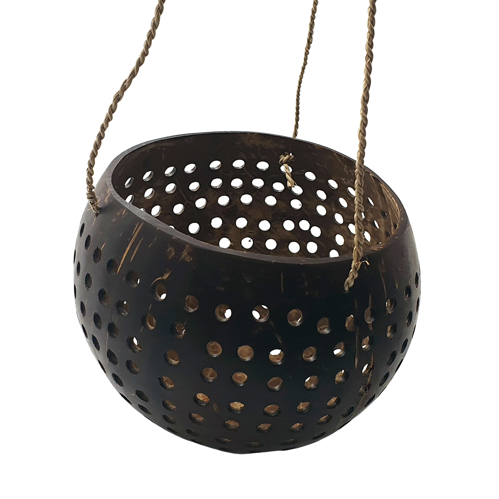 VN-0510-BRDFDR-CRV-COCO-DSN3-C