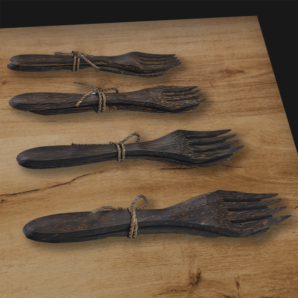 VG-0045-SONO-CTRY-SETX4-C