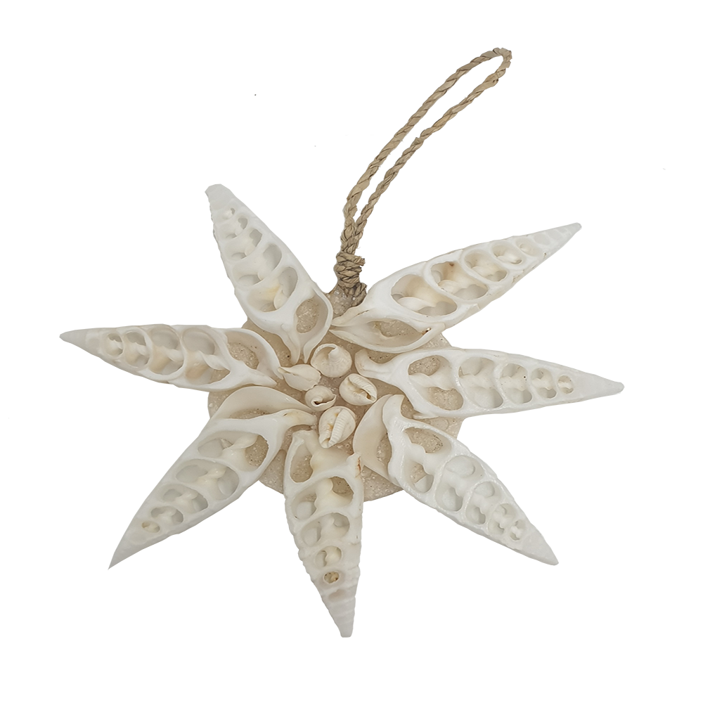 VN-1346-SHL-ORN-DSN1-A