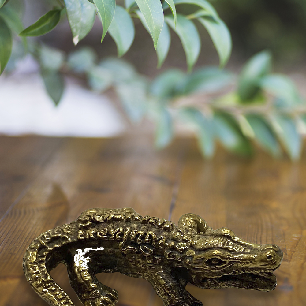 VN-1926-20-CROCODILE-D