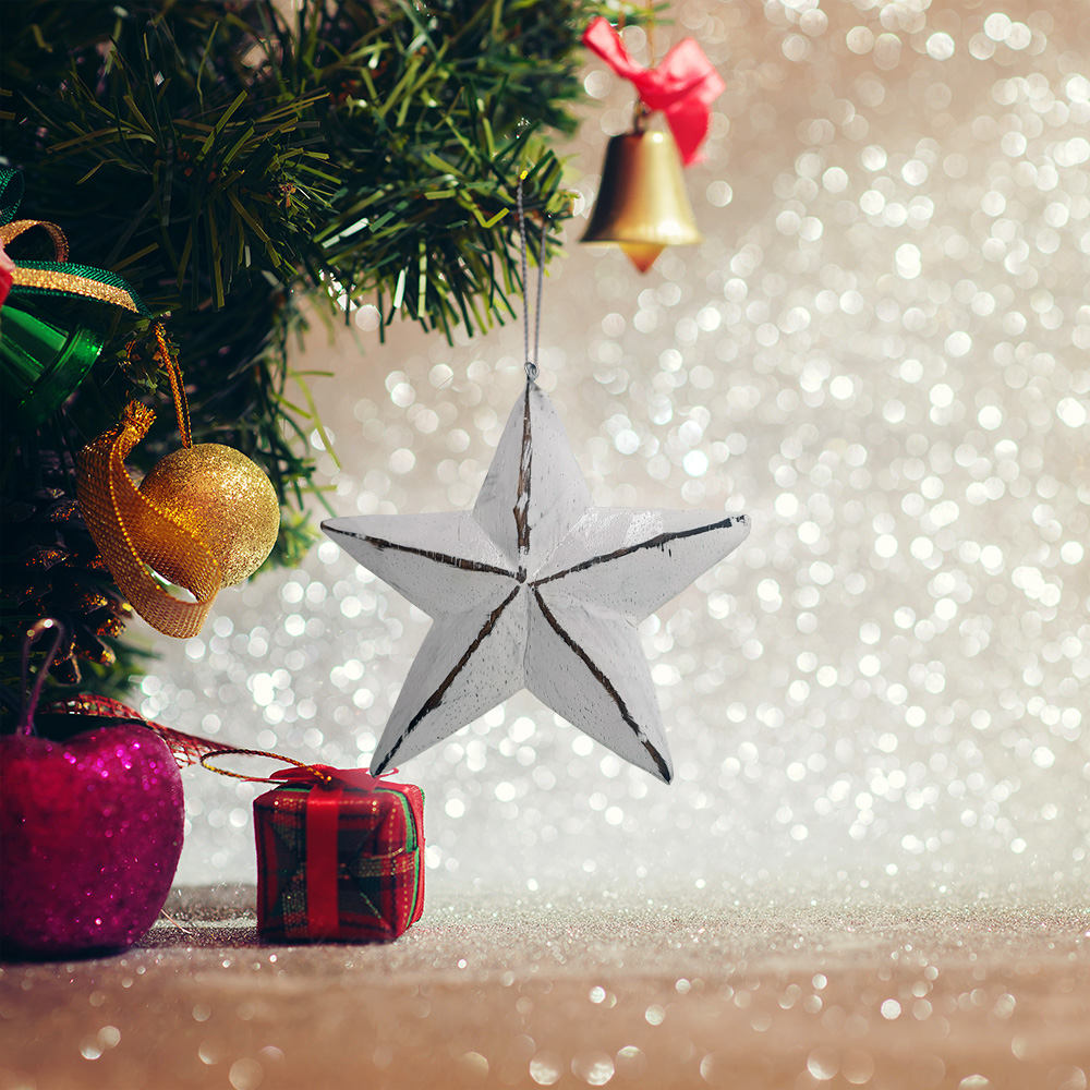 VN-1301-04-SMALLSTAR-D