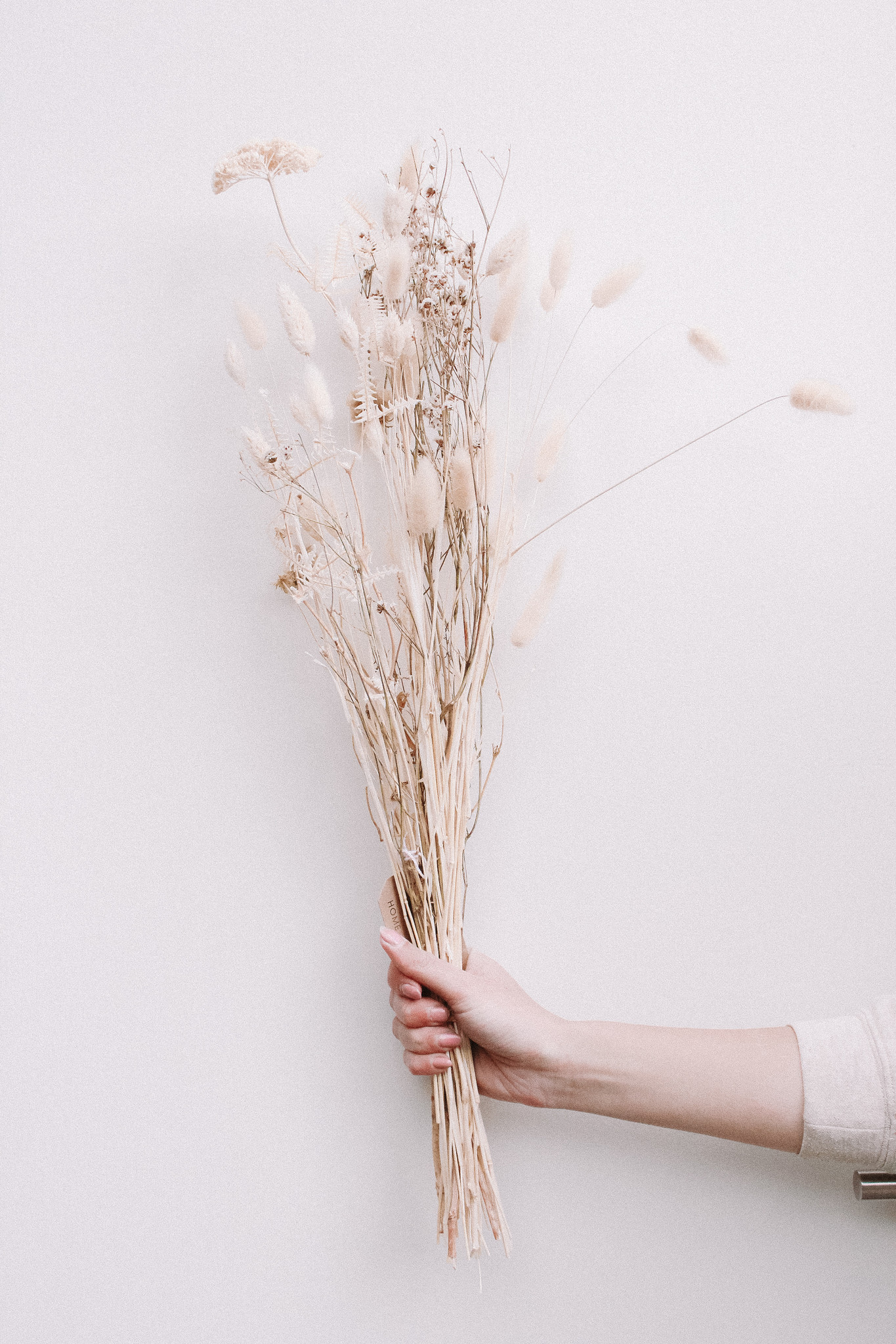 ratatouille-ratatouille-droogboeket-12-white-wonde