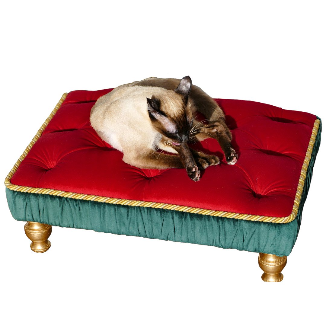 Aposentis_cat_dog_kitty_puppy_fancy_bed_sofa_couch_sleep_fashion_expensive_luxury_premium_green_red_gold_capitone_siamese_pomeranian_1800x1800