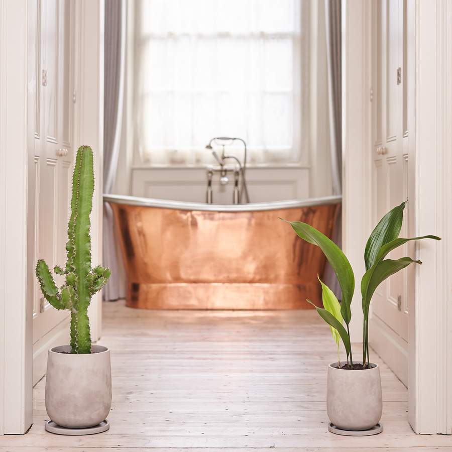 20-12-09.A_M_Sparky.0142_900x