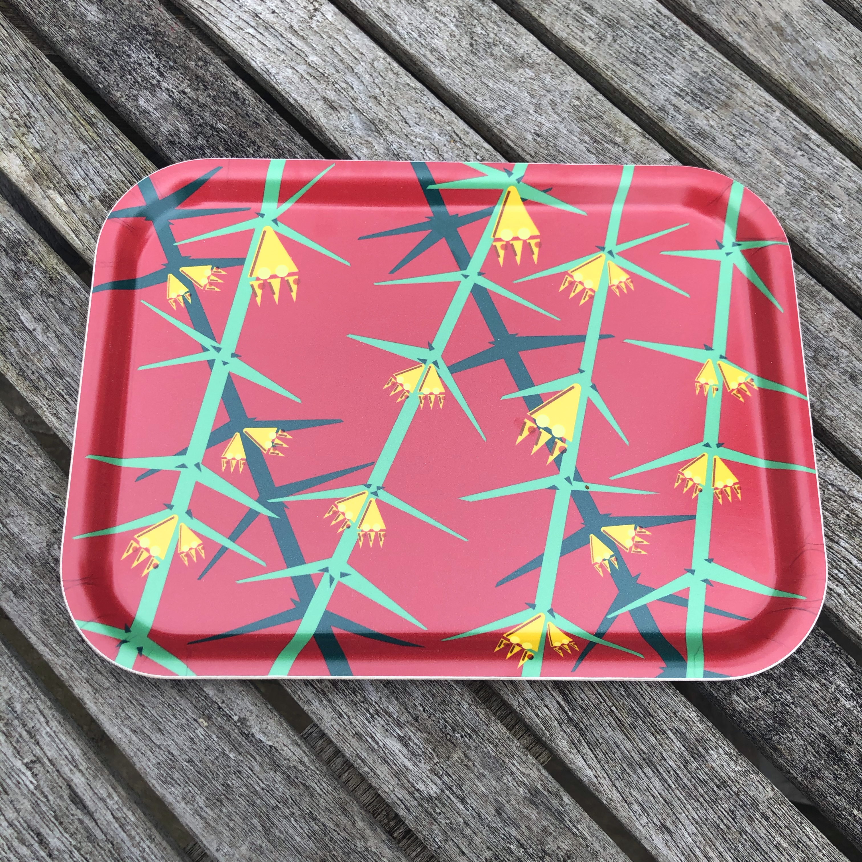 EllieGoodIllustration_Rare_NO-WORDS_tray_small-web