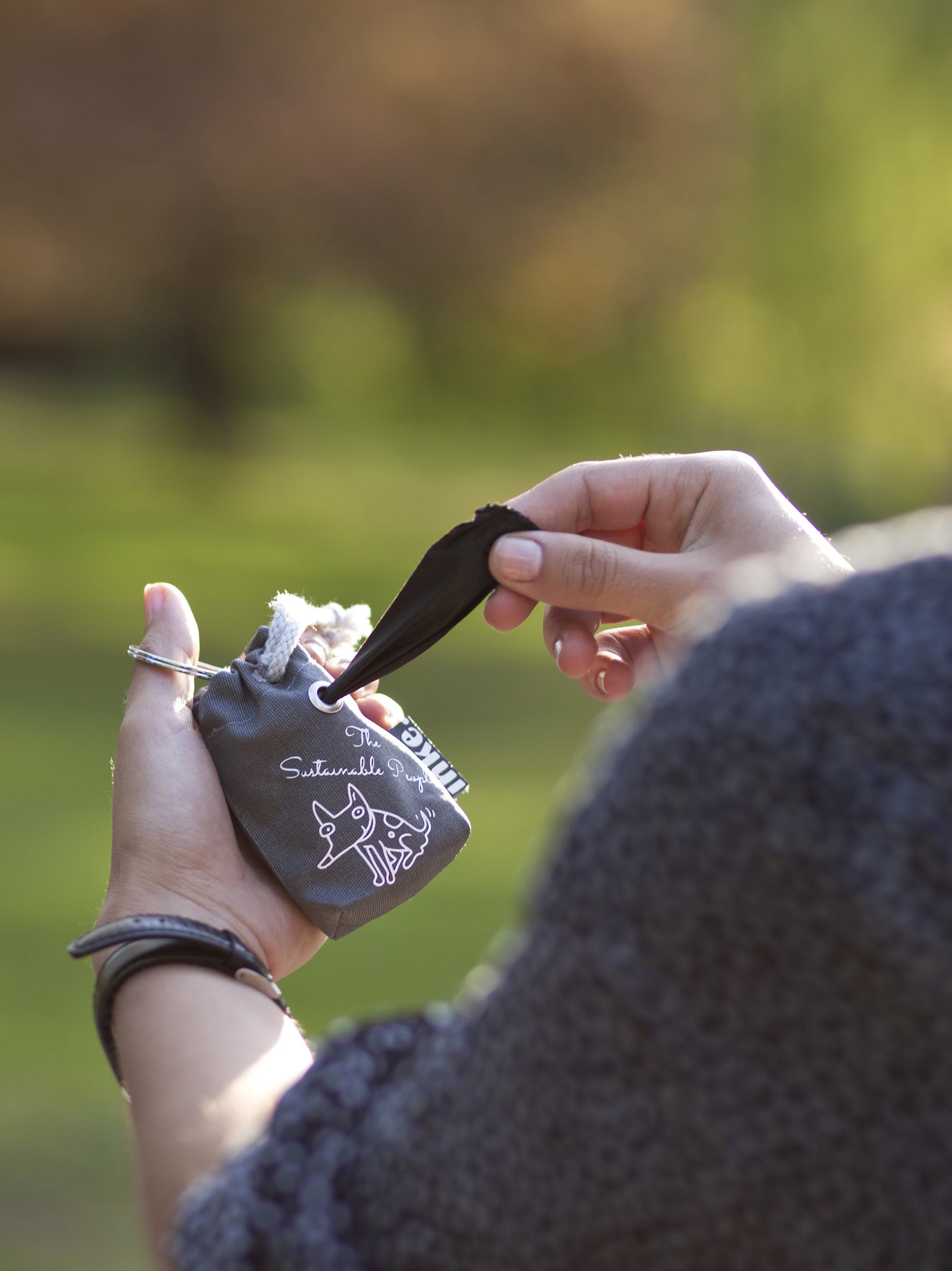 264189-47cd2bfddf586b