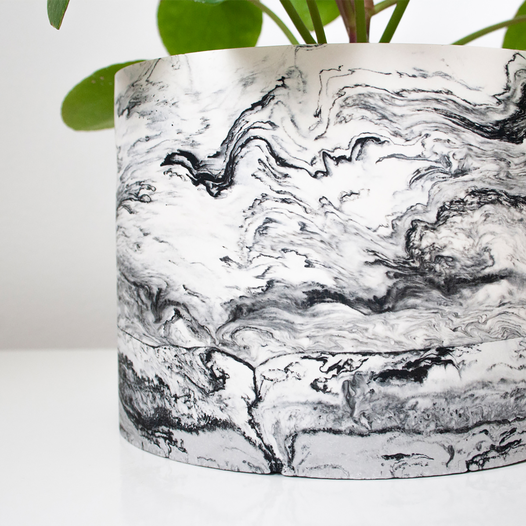 black-marble-with-plant-close-up-2