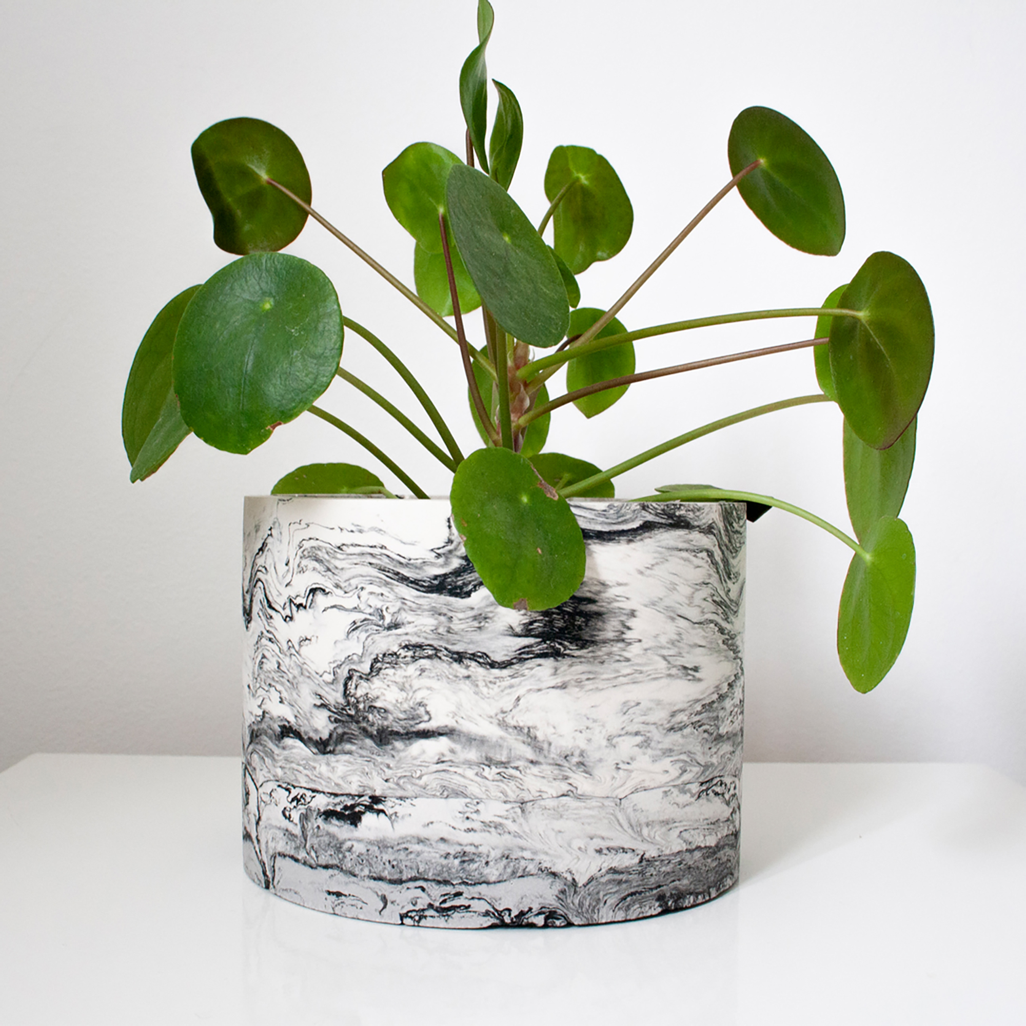 black-marble-with-plant