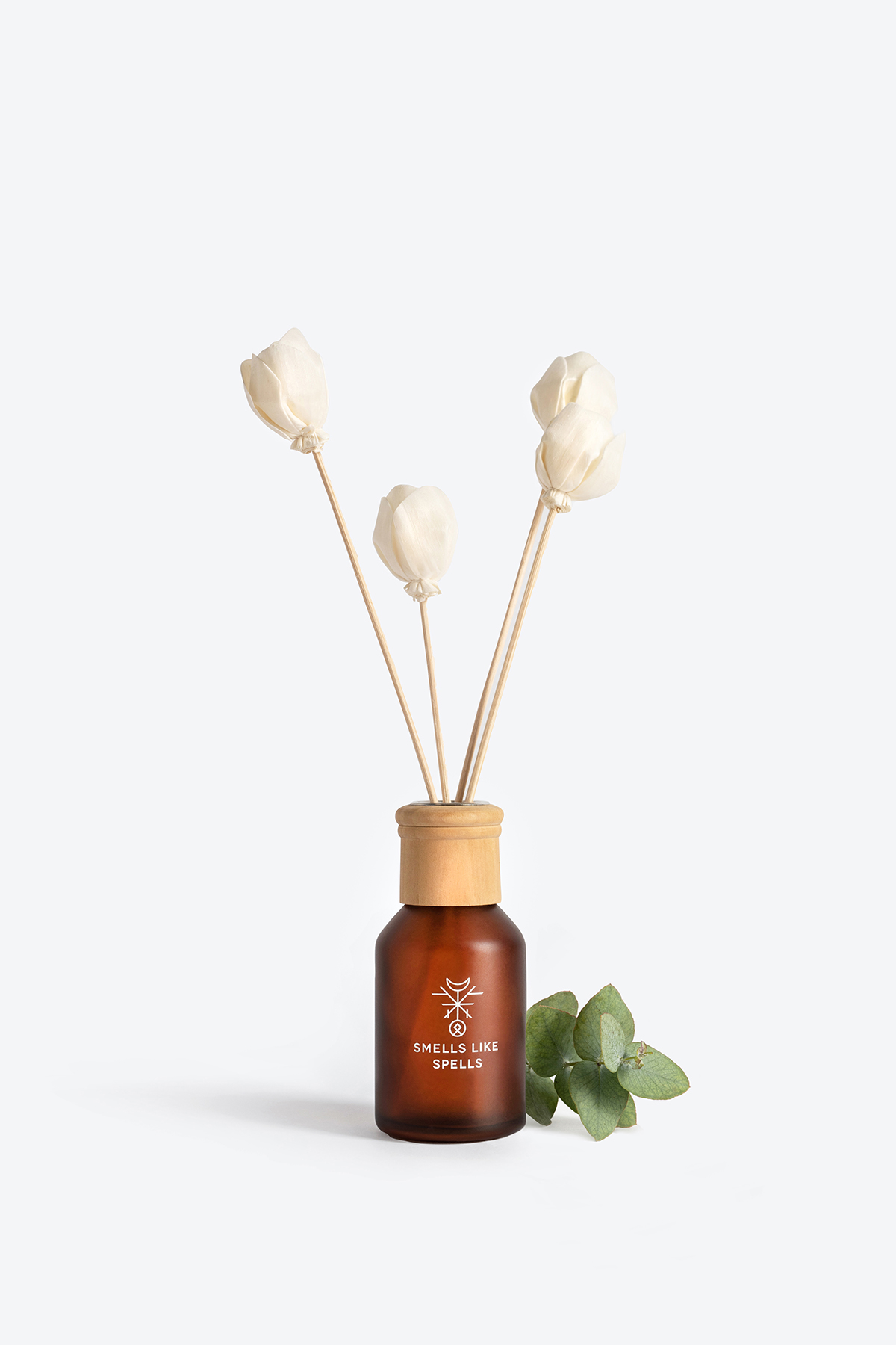 Home parfum bottle (2)