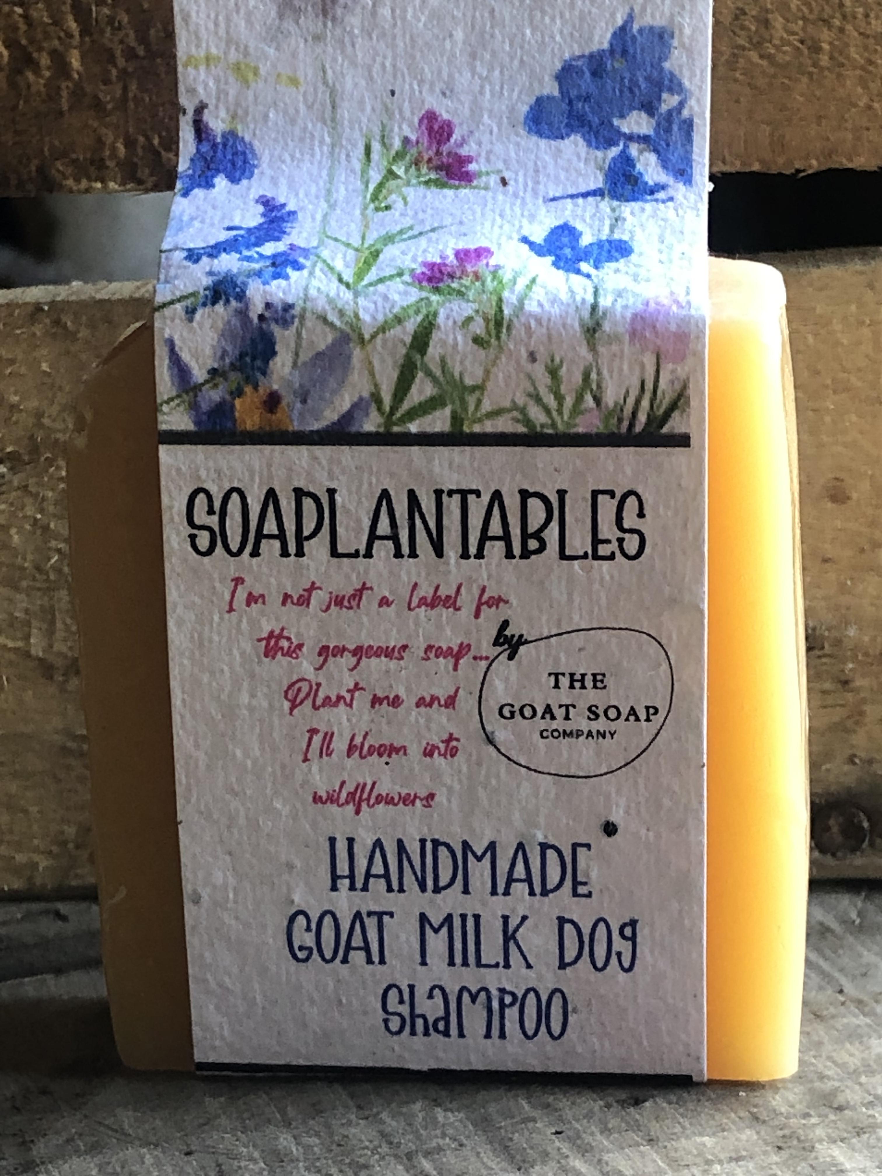 Goat Milk Shampoo For Dogs with Lemongrass
