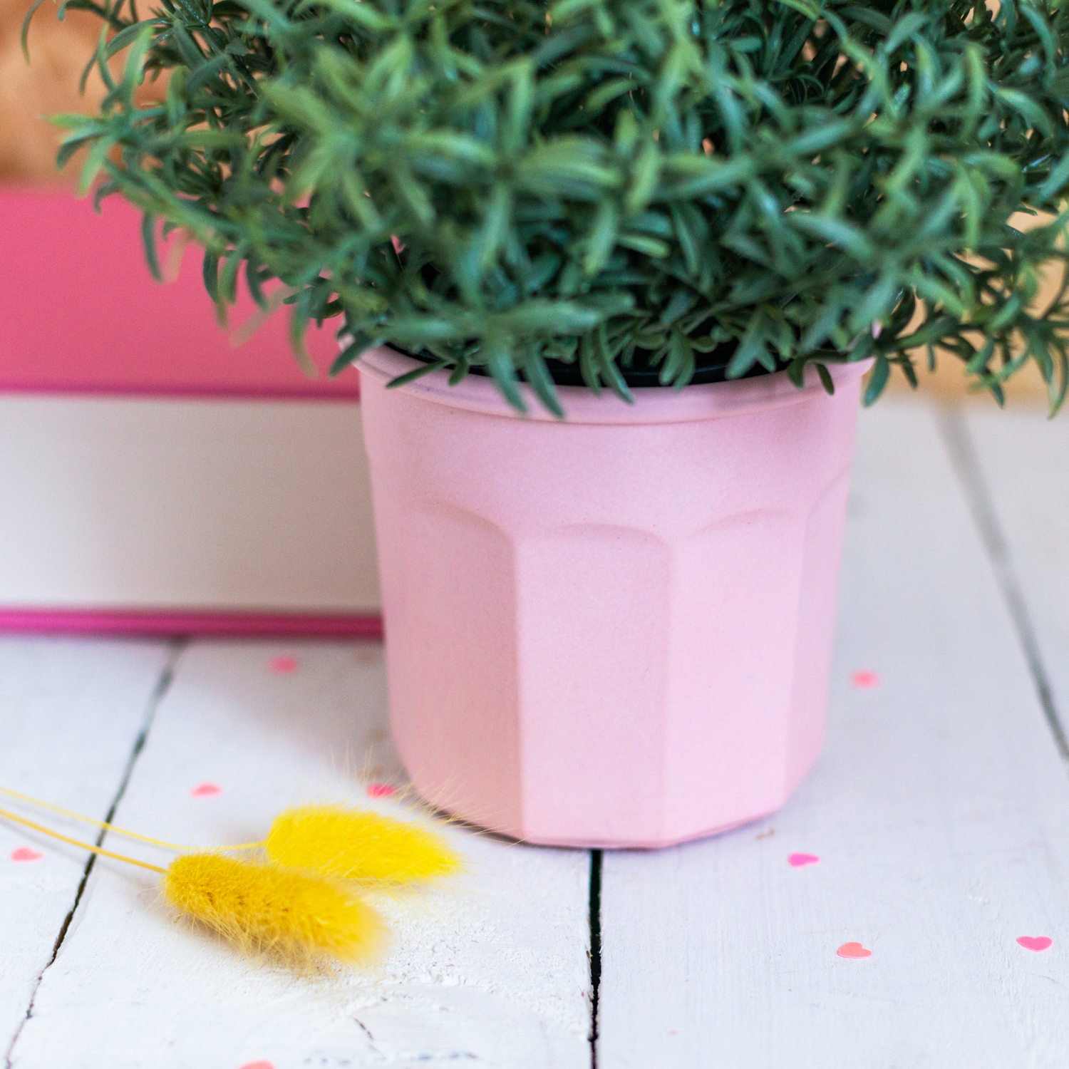 Pink pot - Nine Angels