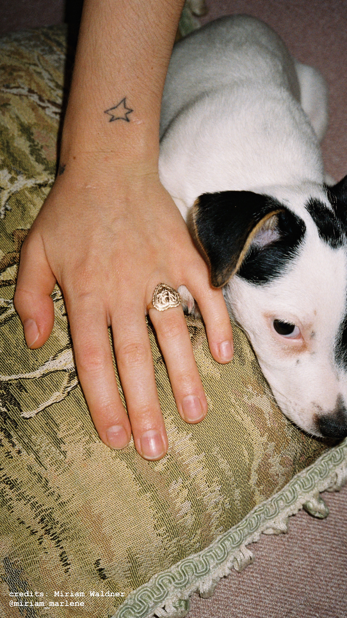 PEACE-OF-SCHMUCK-–-Ring-INDIAN-HEART-by-Miriam-Waldner-2