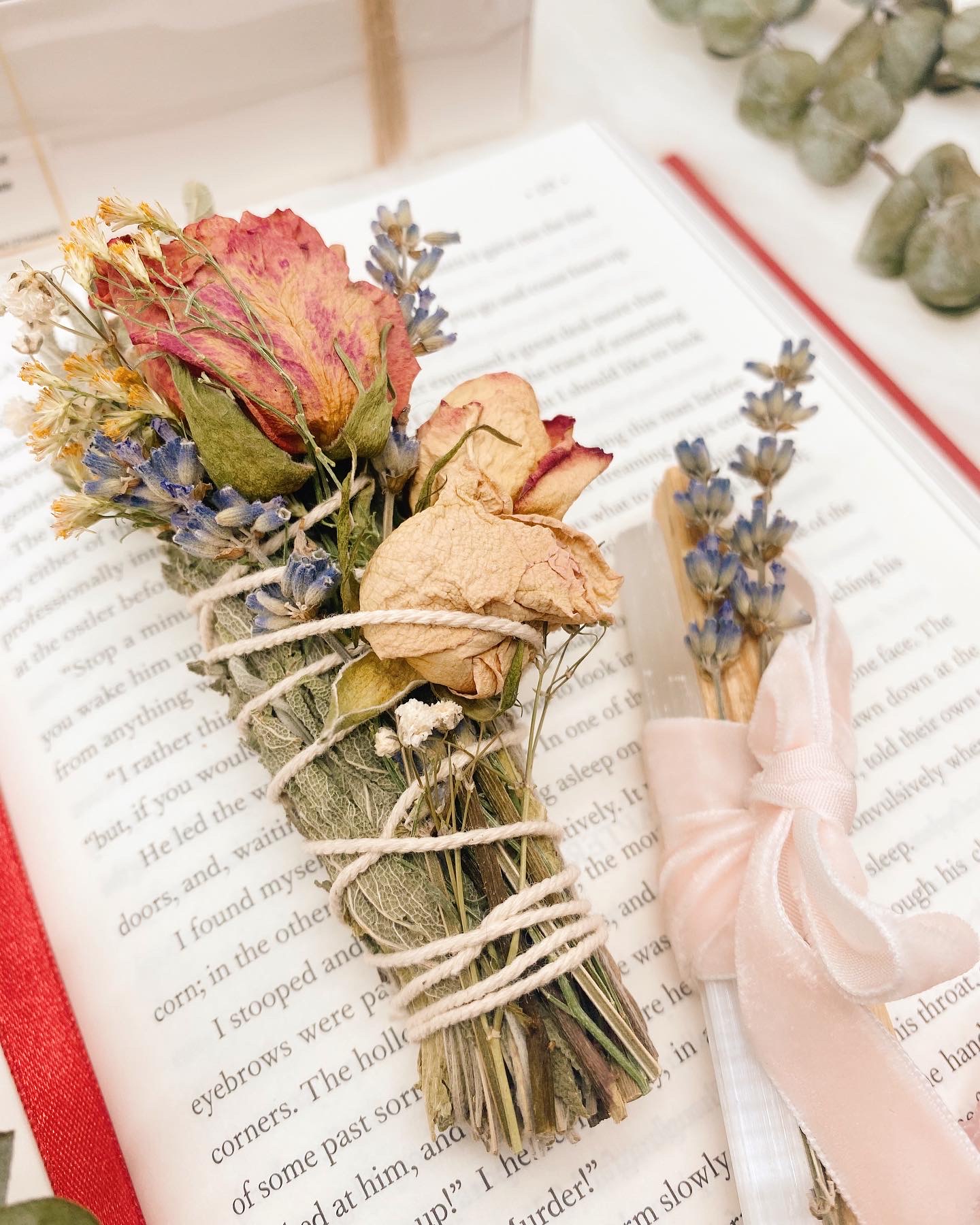 08FCBF91-3419-463B-A47B-6E018D98E3DB