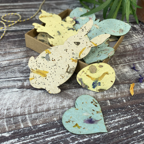 Easter Plantable Tokens Box_CROPsq500