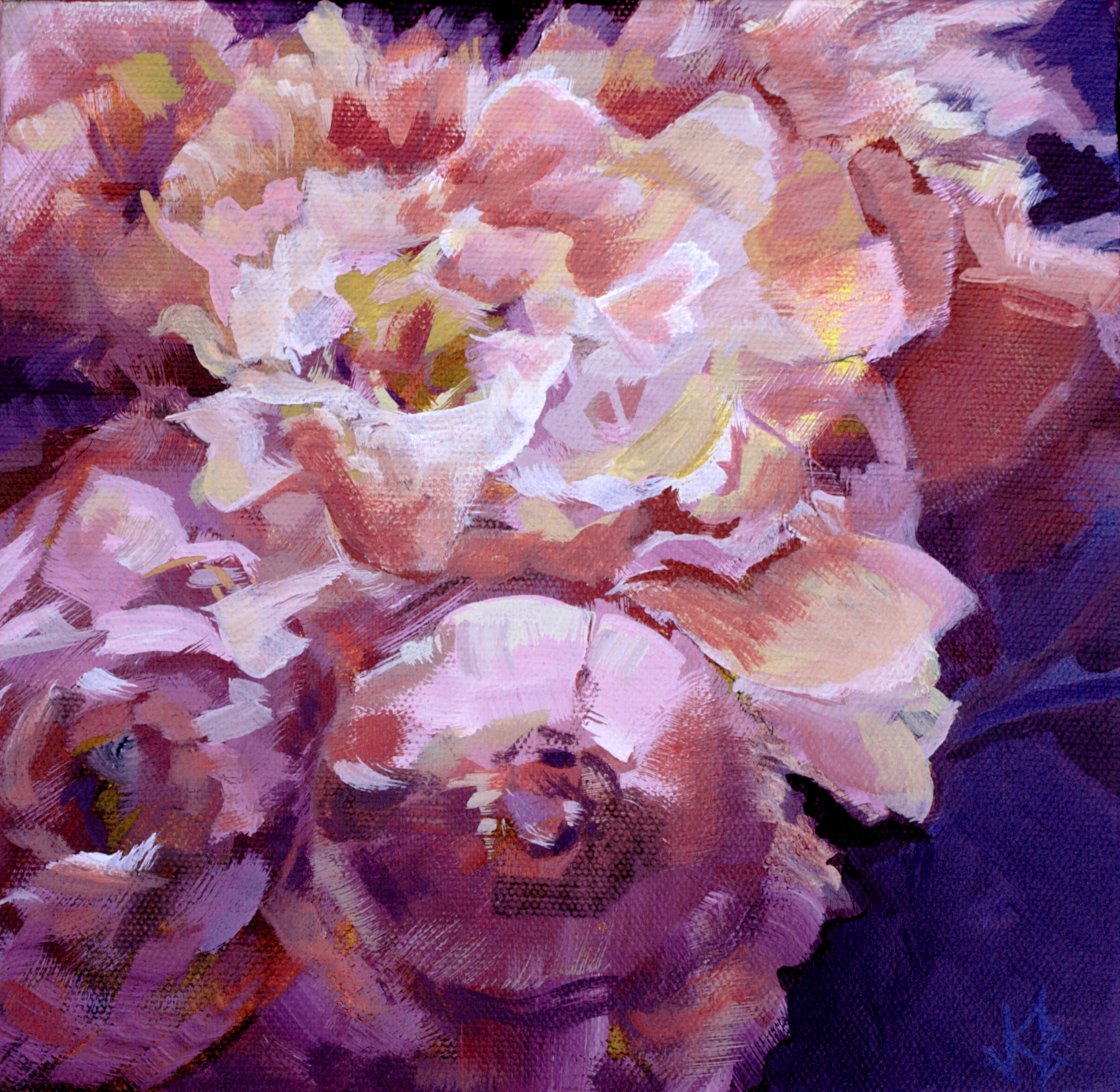 Developed using darktable 2.6.0