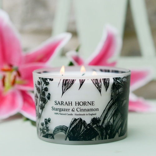 stargazer and cinnamon 3 wick candle