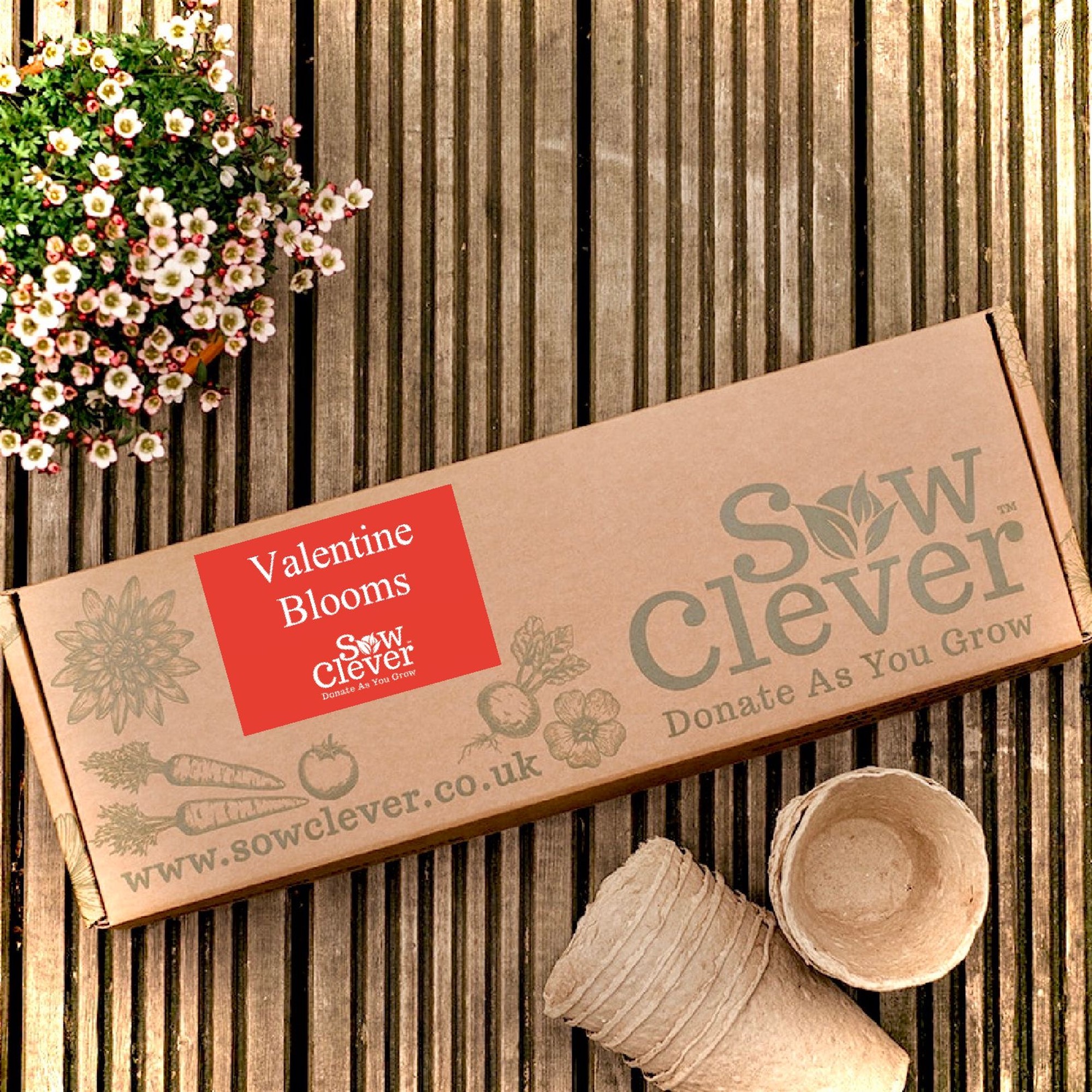 sow-clever-valentine-blooms_2000x2000