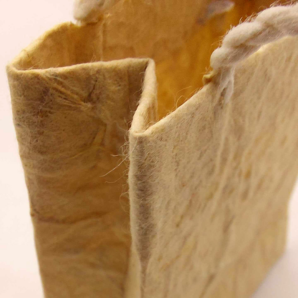 VN-8000-BAG-CLRD-6-7CM-10P-C