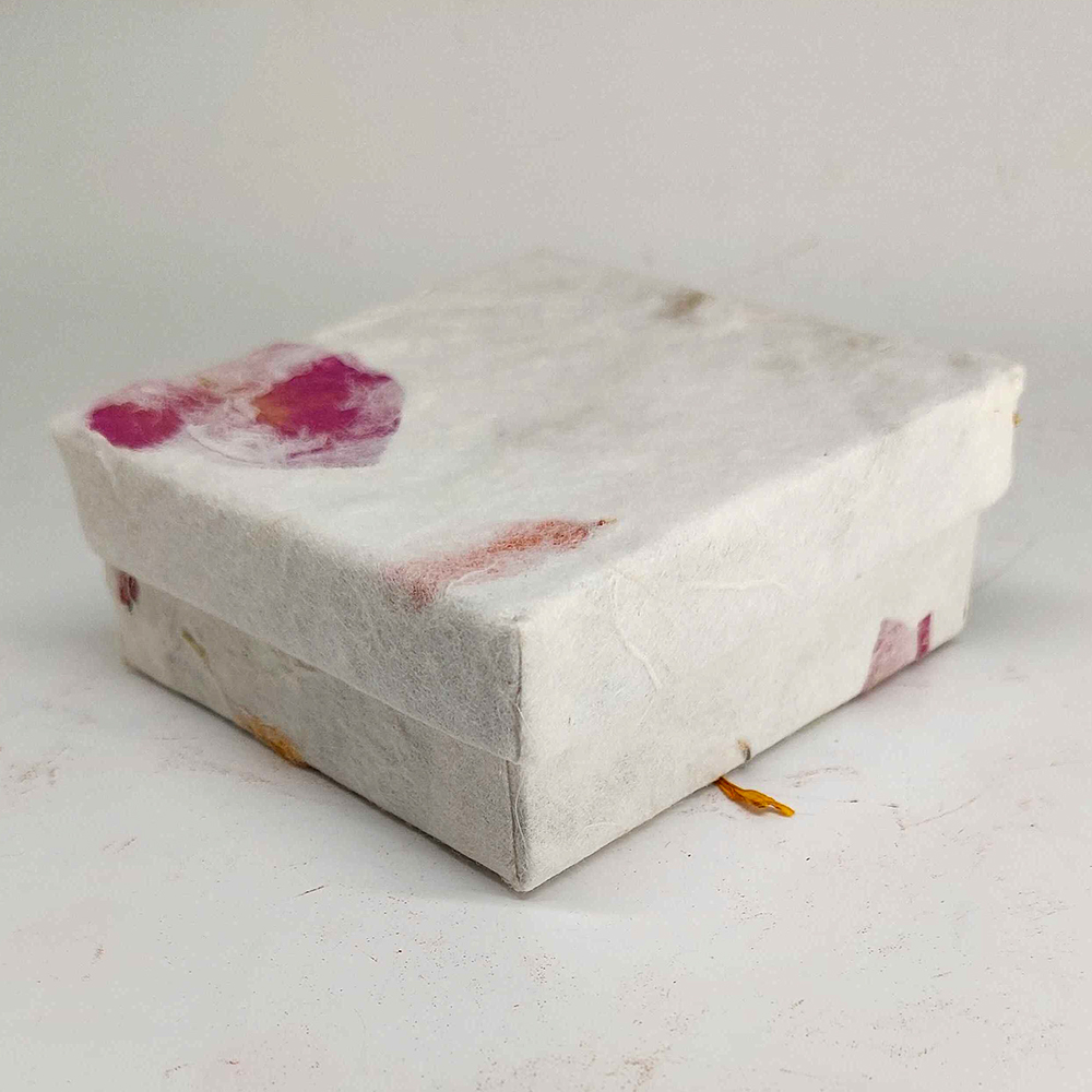 VN-8000-GFTBOX-8CM-10P-D