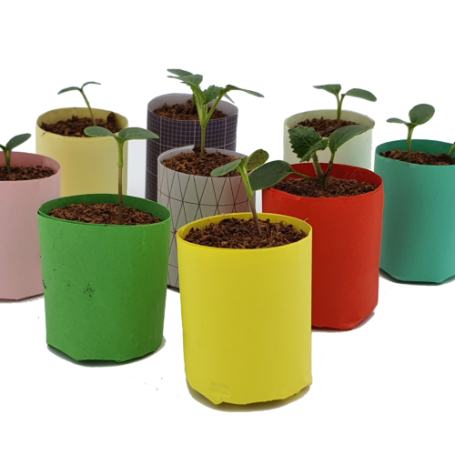 e-pots classic paper pot maker