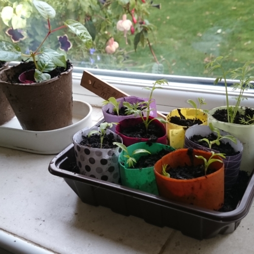 e-pots classic paper pot maker