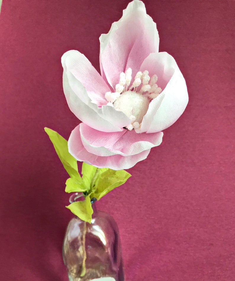 single anemone stem 1