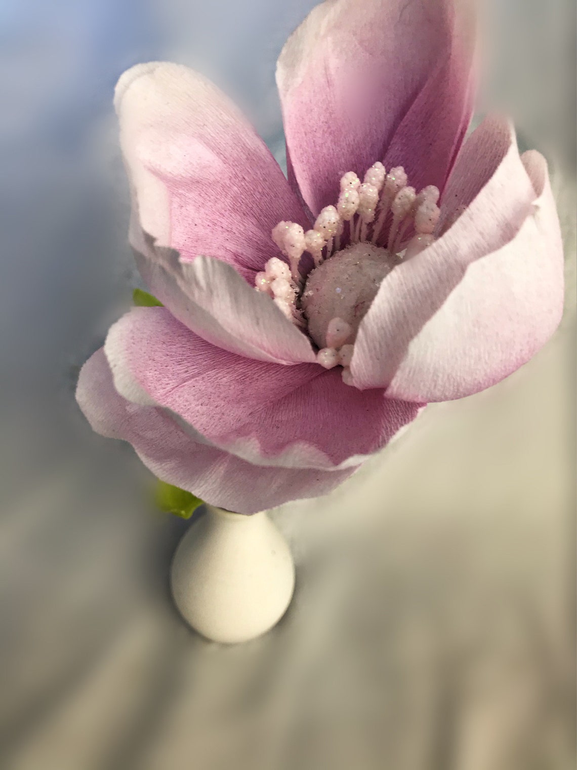 Single stem Anemone2