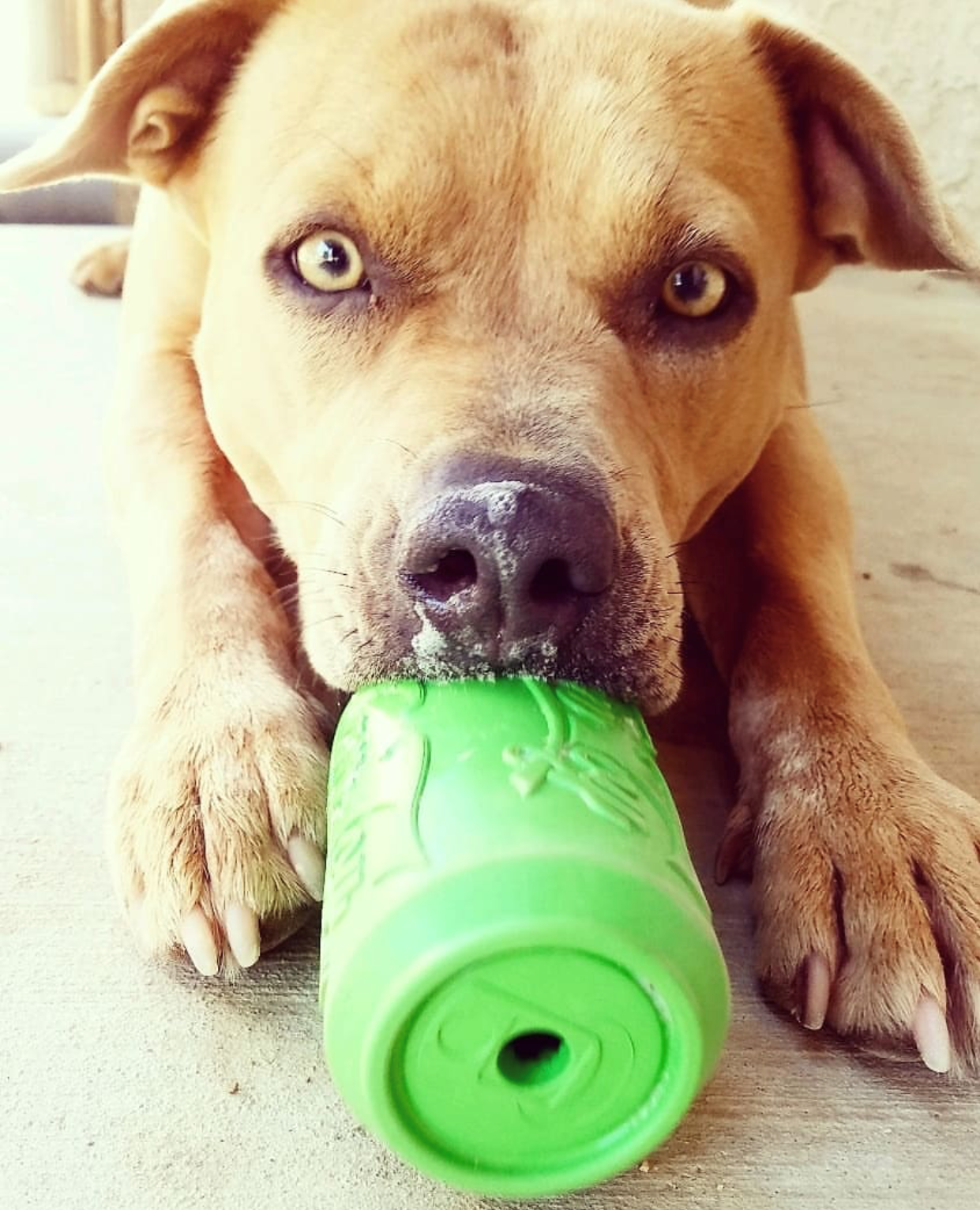 IMG_5917_1024x1024@2x