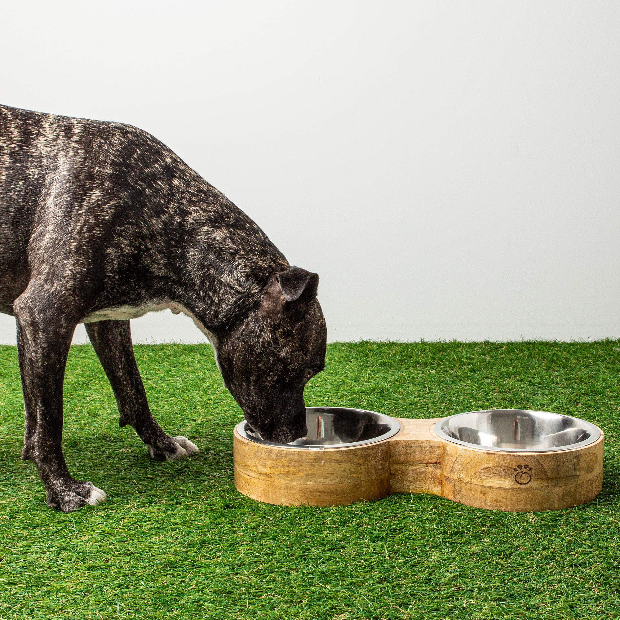 Photo : Bonnallie Brodeur