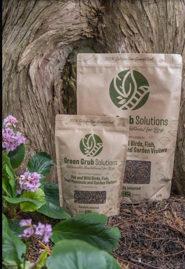 6FC166FB-B74A-45F4-9840-E715D36D4355