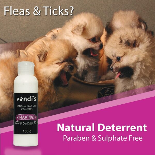 6009803545194-2-600x600