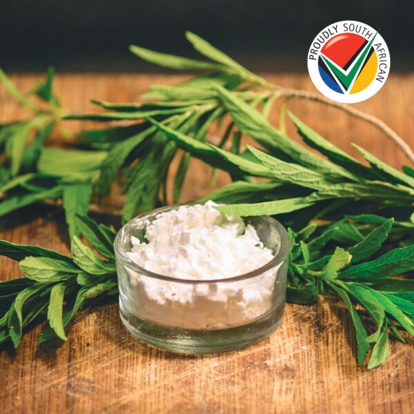 6009803545194-3-600x600