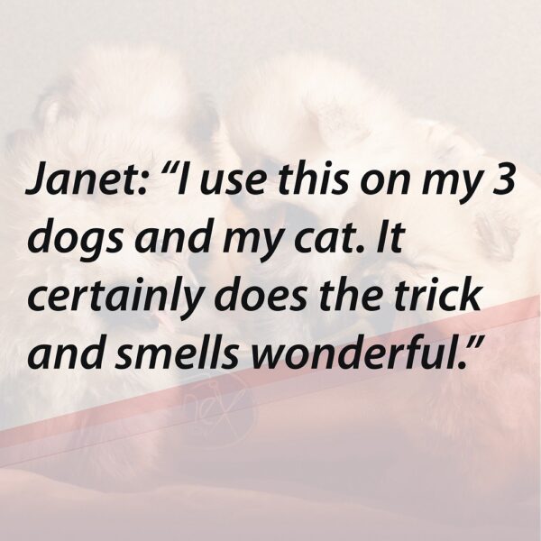 6009803545194-4-600x600