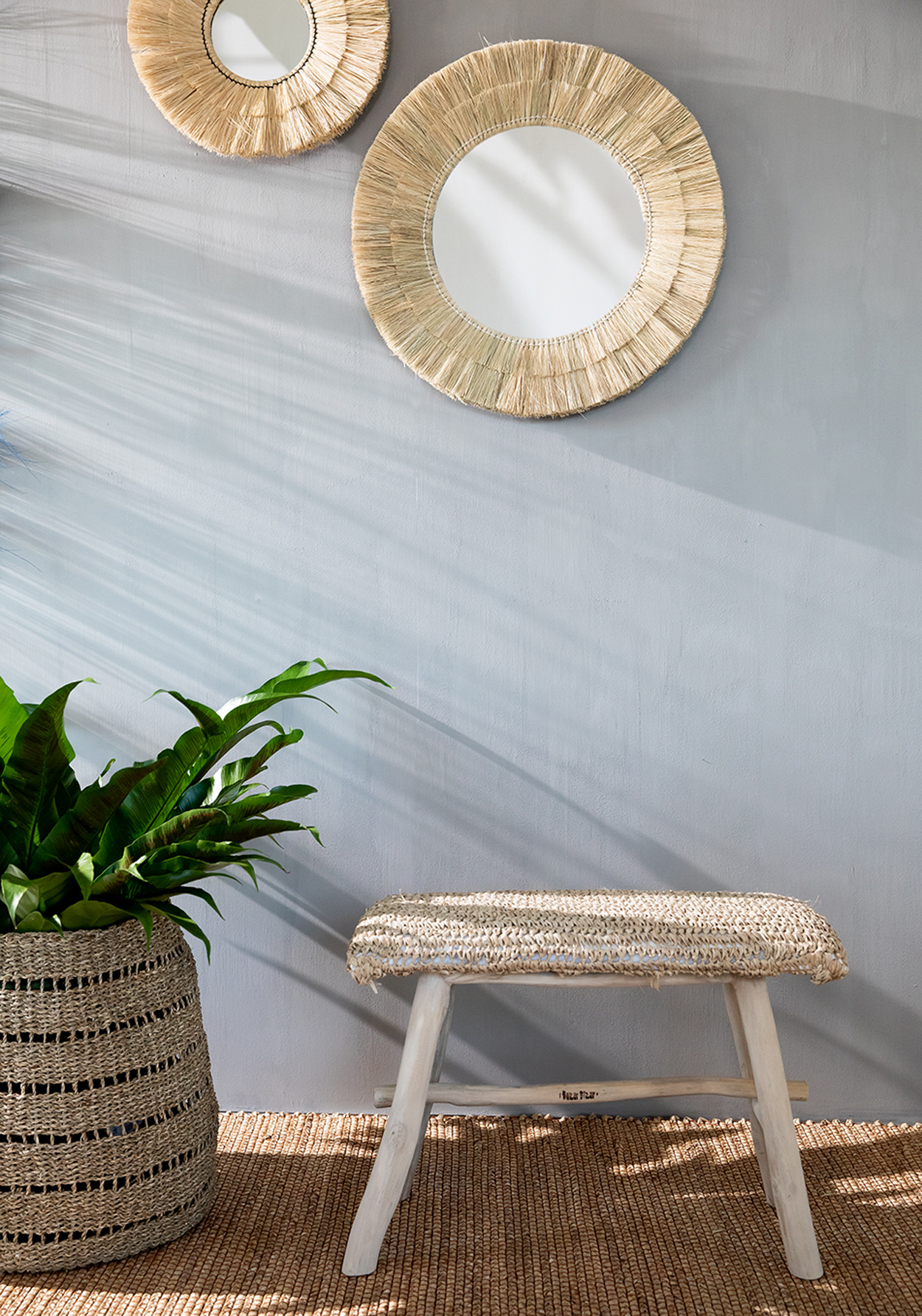 VIVT026N-260x180_102