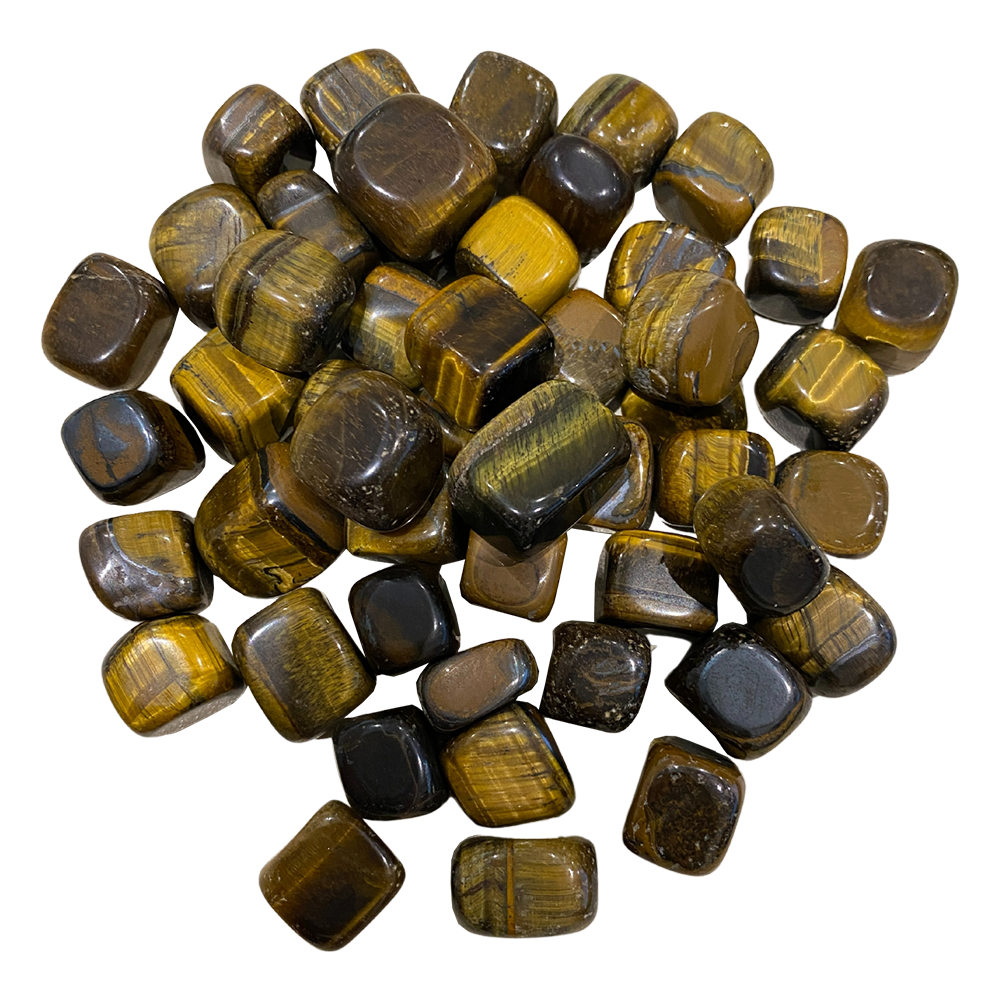 VN-4408-CTMBLD-TGE-A