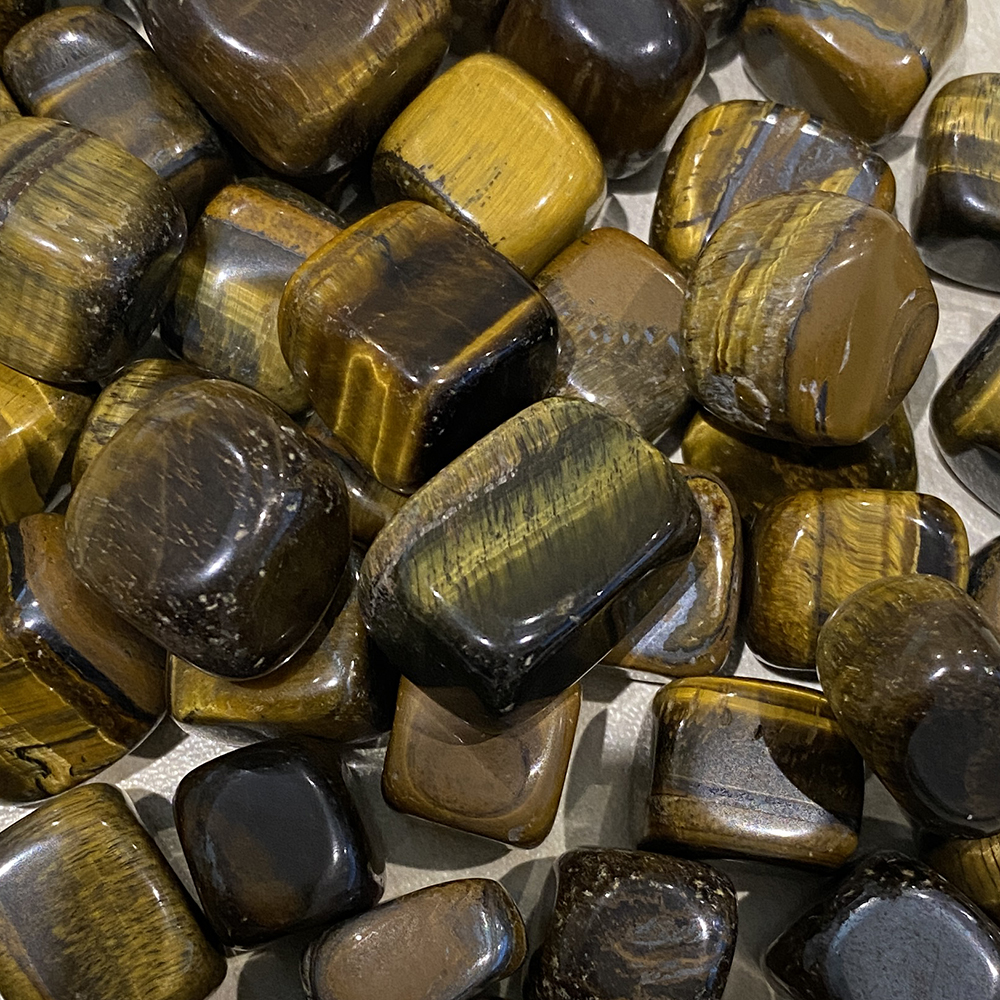 VN-4408-CTMBLD-TGE-D