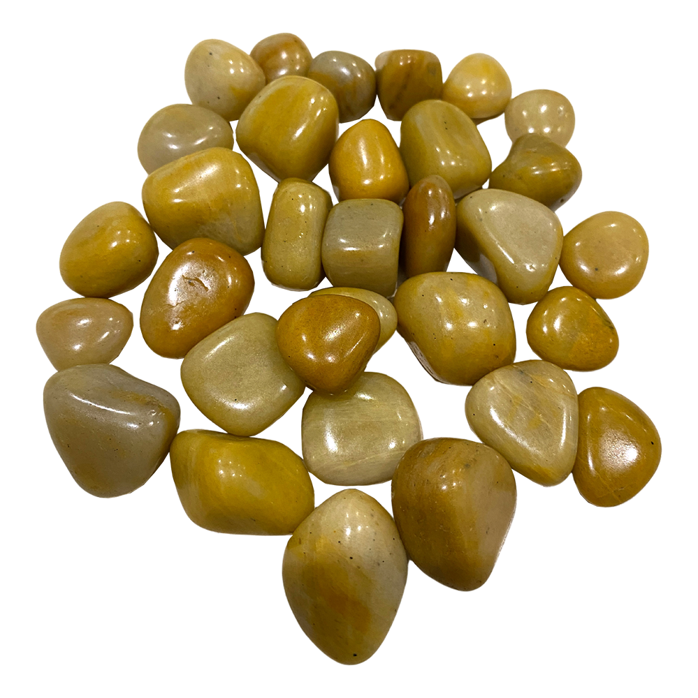 VN-4408-CTMBLD-YWA-A