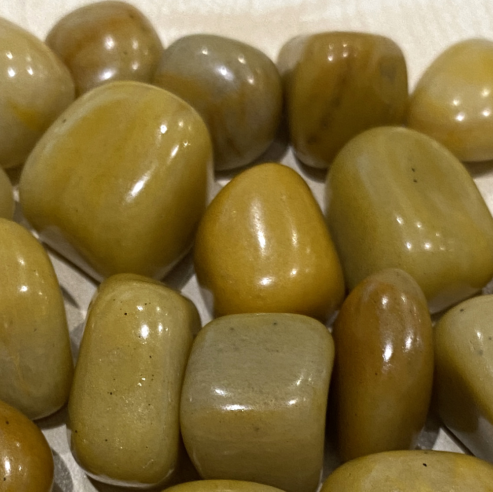 VN-4408-CTMBLD-YWA-C