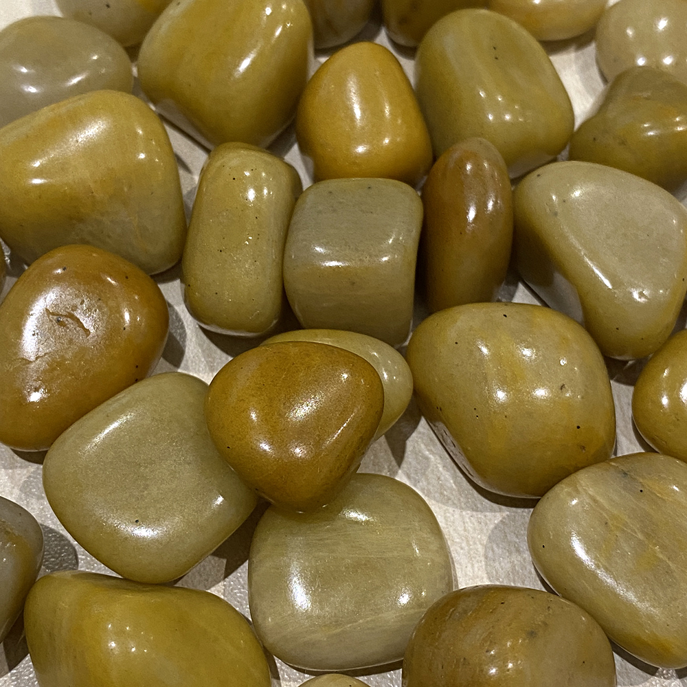 VN-4408-CTMBLD-YWA-D