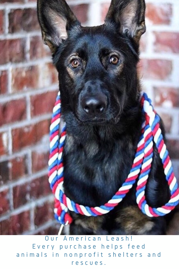 imagejpg_47b55e35-2b5c-4c07-ba1b-c17266ab1a53