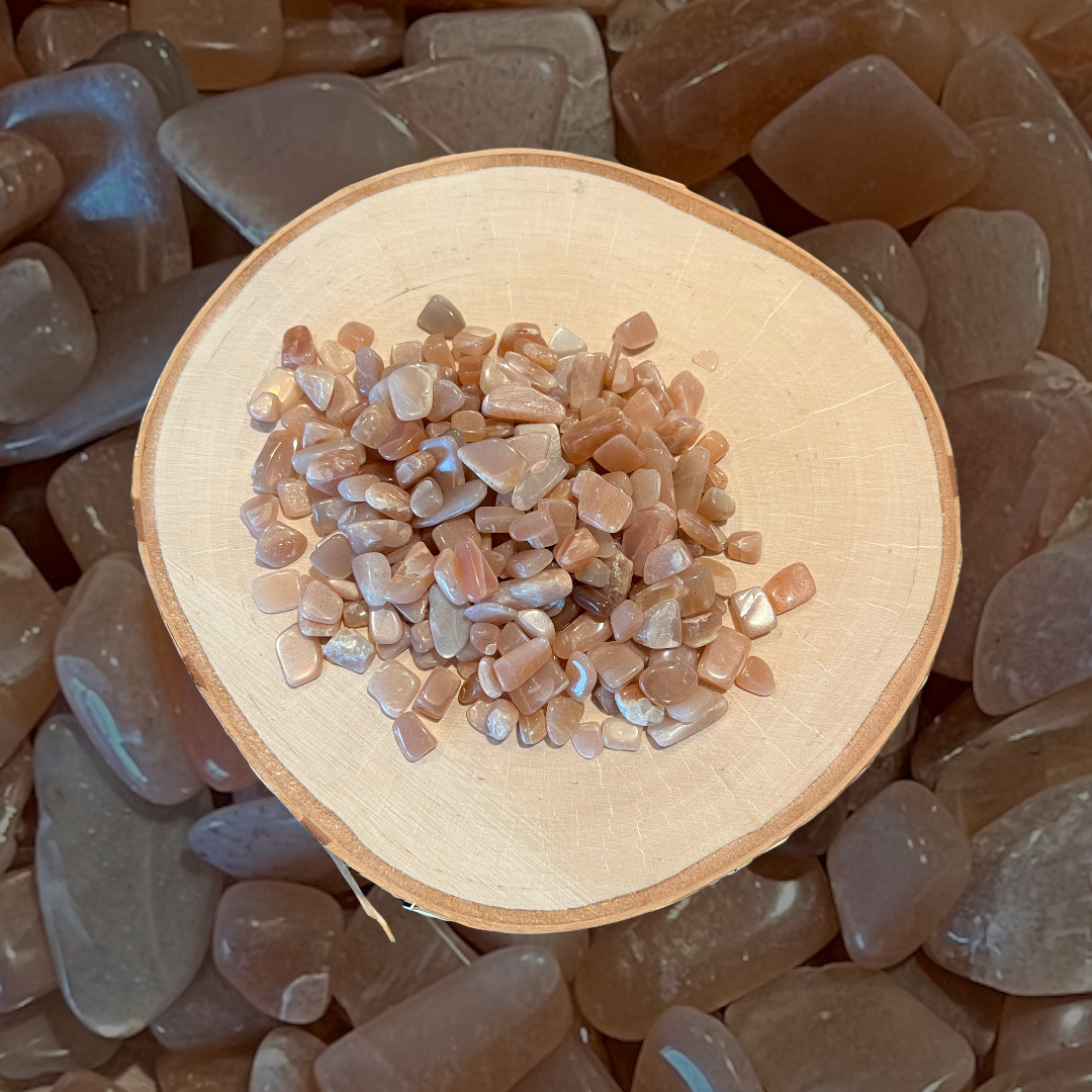 PhotoRoom_20220214_210750