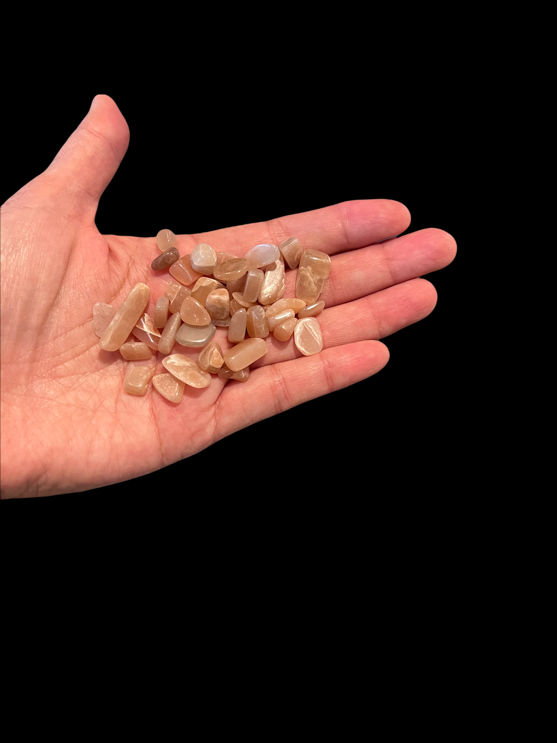 PhotoRoom_20220214_210804