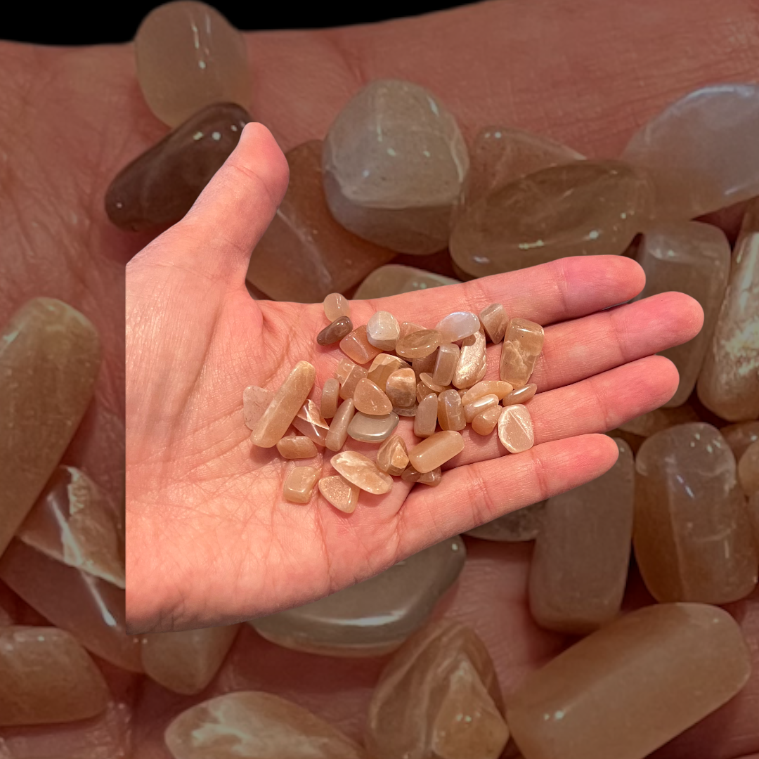 PhotoRoom_20220214_210812