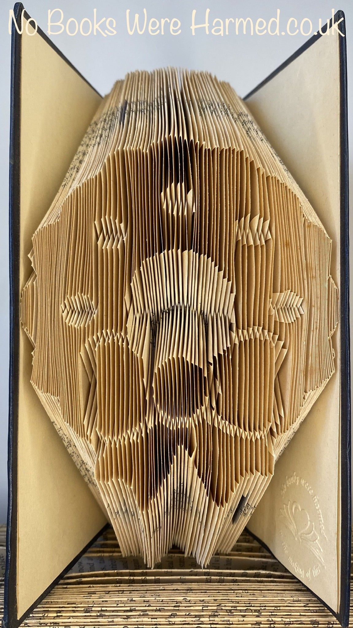 image_e2c47f95-67c6-4fd9-980d-d6fba88804db_1024x1024@2x