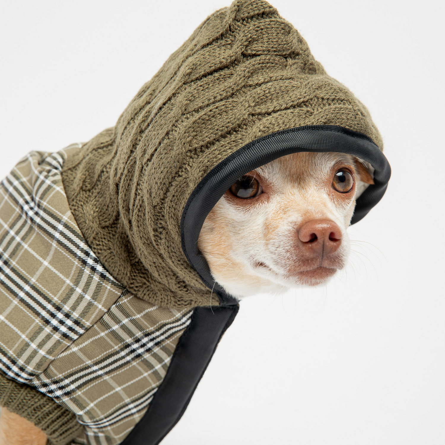 Sanstitre-2021-06-09T204928.853