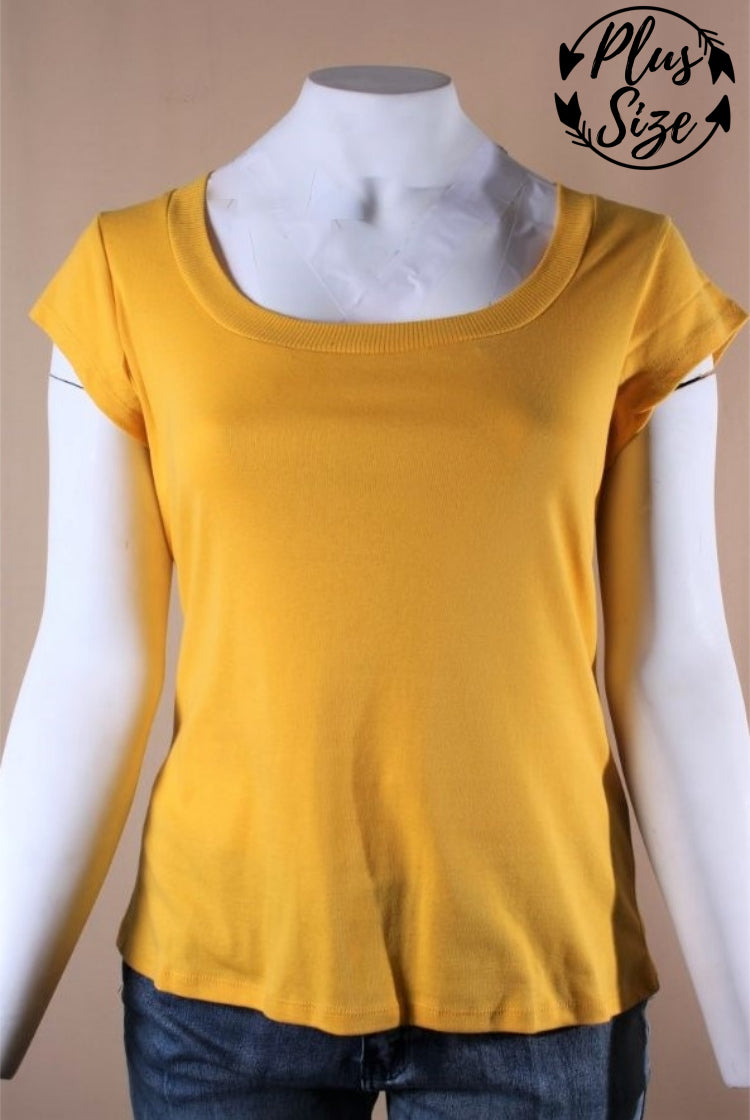 yellow2_481df71f-a9f0-4f20-ae48-cf819a3126f6 (1)