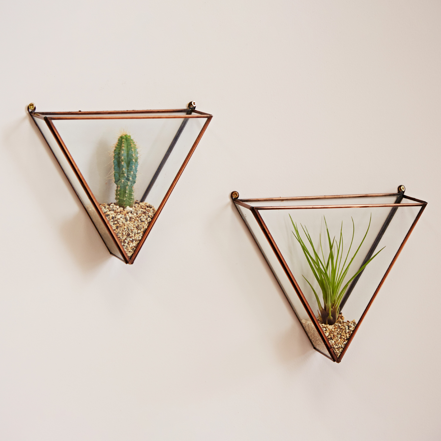 TGTT Triangular Glass Air Plant Wall Terrarium Group