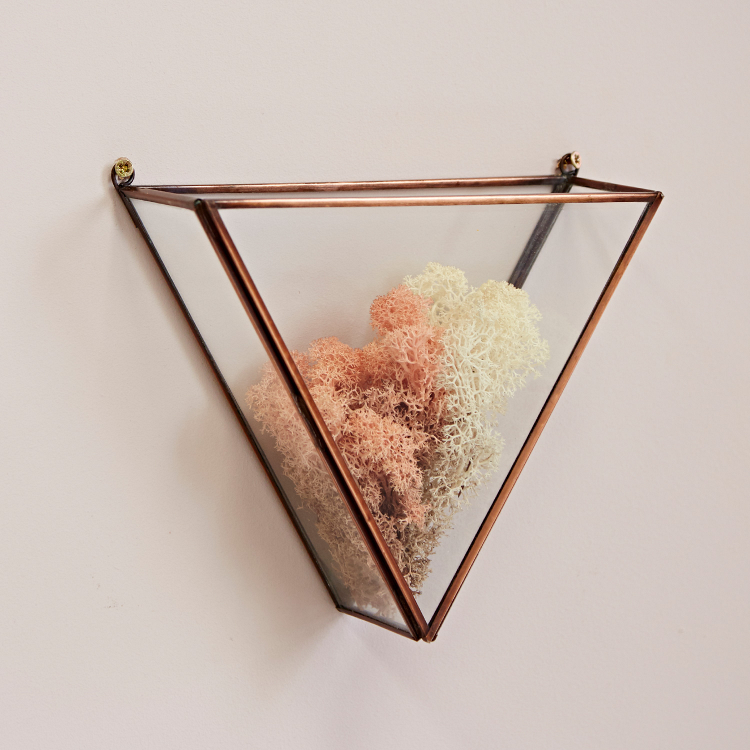 TSGTT-Triangular-Glass-Air-Plant-Wall-Terrarium-2